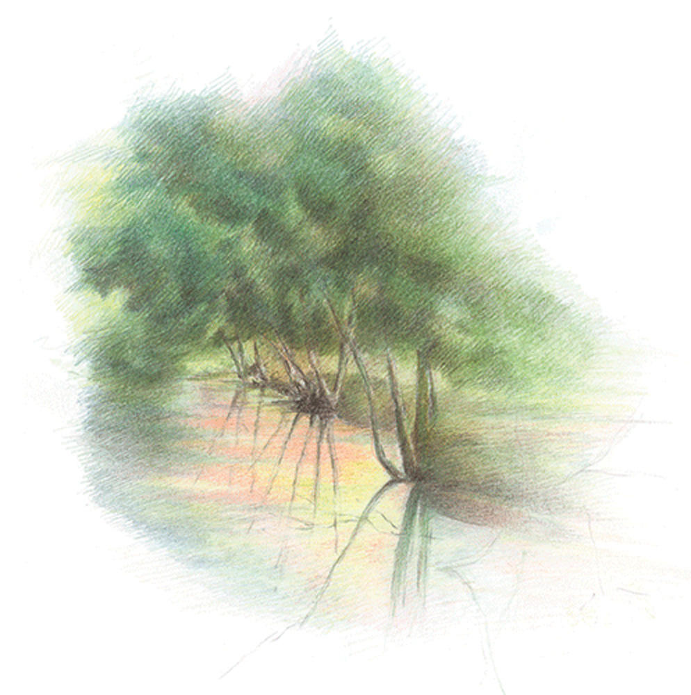 Annie Helsly graveuse