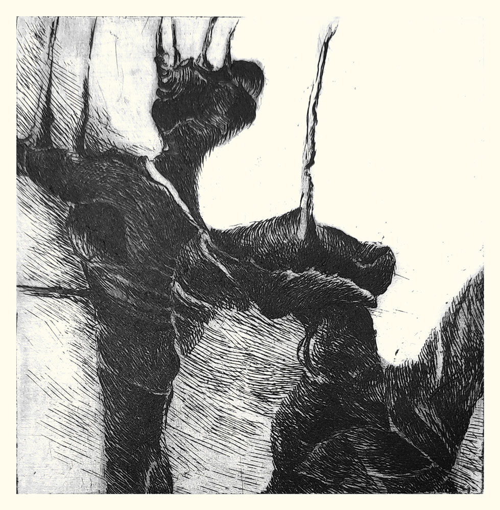 Annie Helsly graveuse