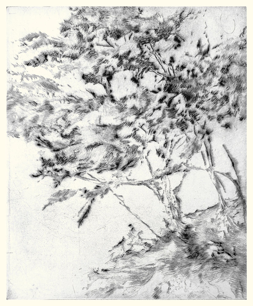 Annie Helsly graveuse