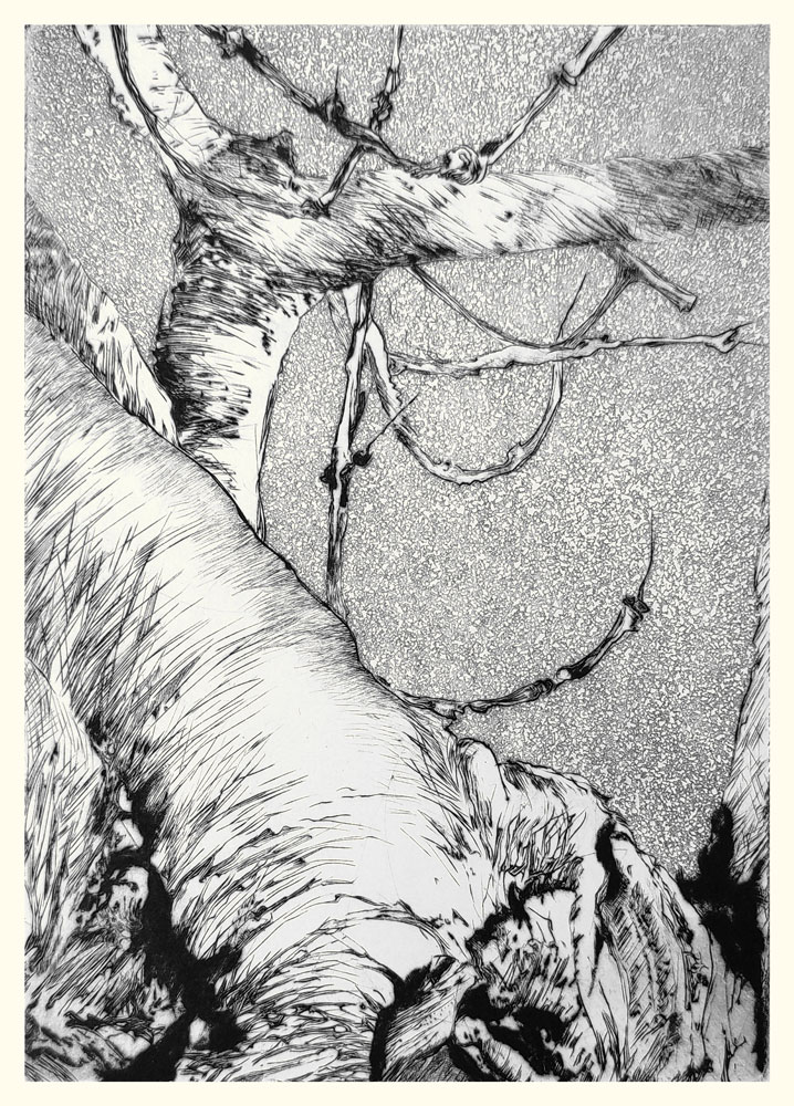 Annie Helsly graveuse